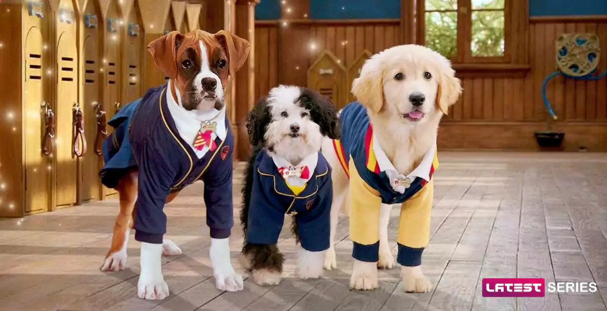 Pup Academy Season 3 Release Date, Cast, Plot and everything about this show