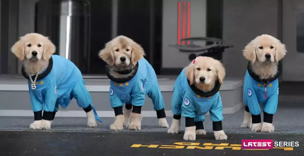Trailer of Pup Academy Season 3