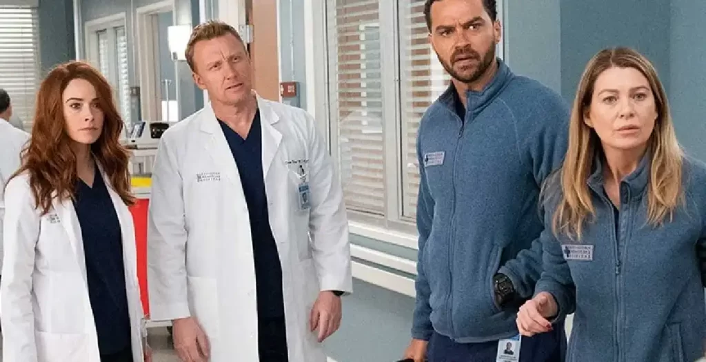 Grey's Anatomy Season 19 Plot