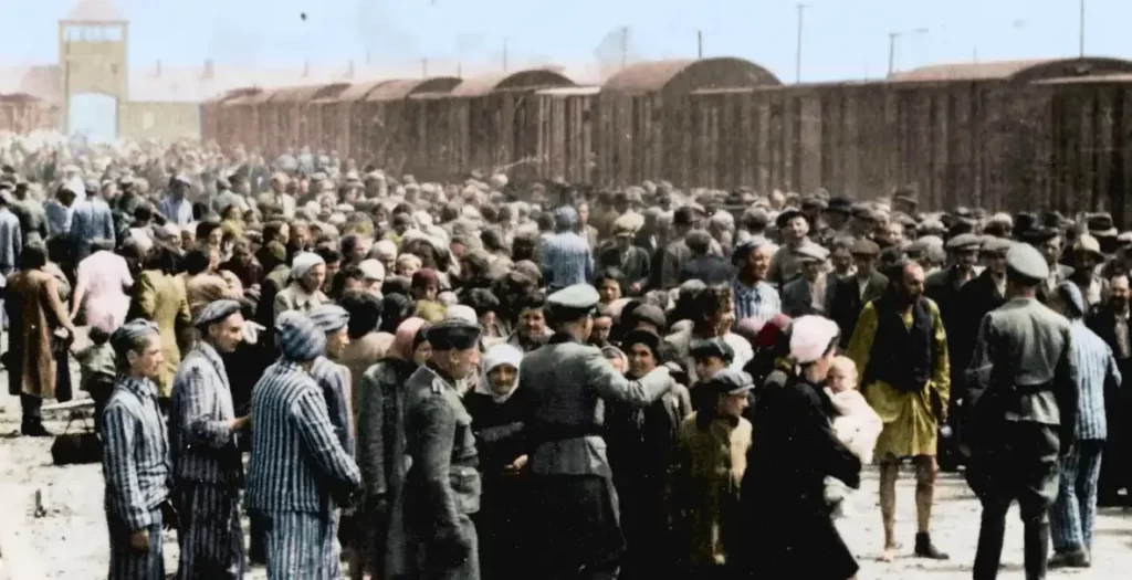 Synopsis Of Auschwitz Untold In Color