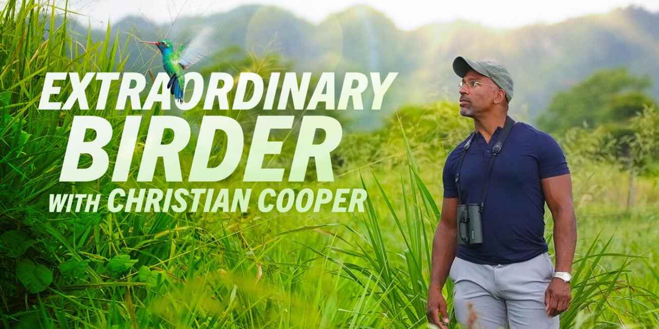 Extraordinary Birder with Christian Cooper Season 1 Release Date, Plot, and All We Know!