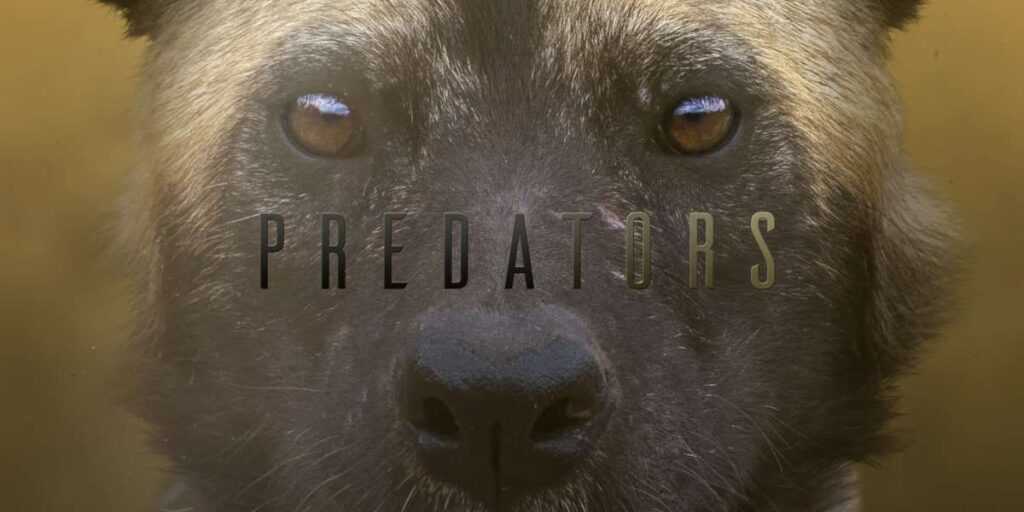 Predators Season 1 Trailer