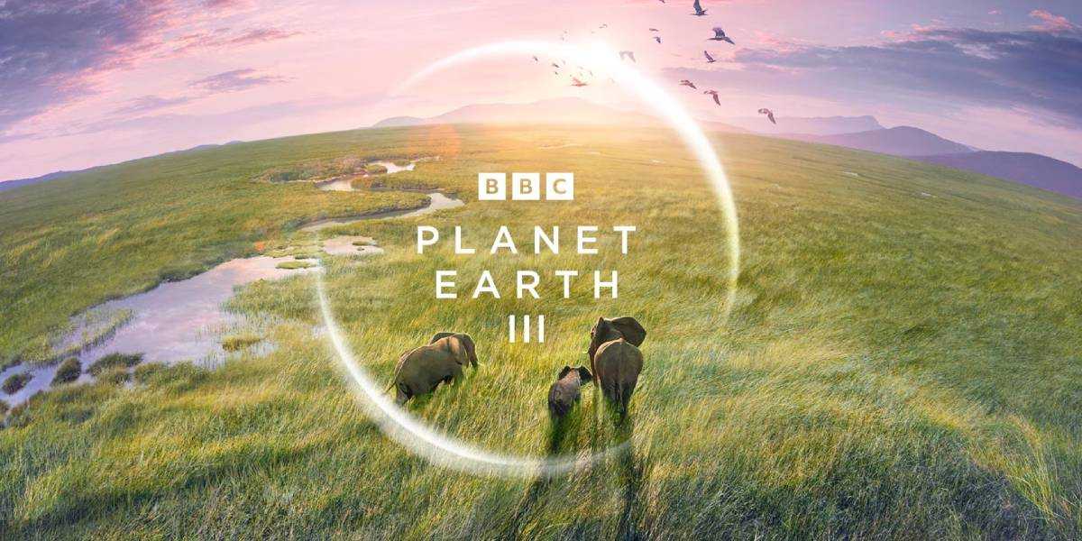 Planet Earth Season 3 Release Date, Cast, Plot, and More!
